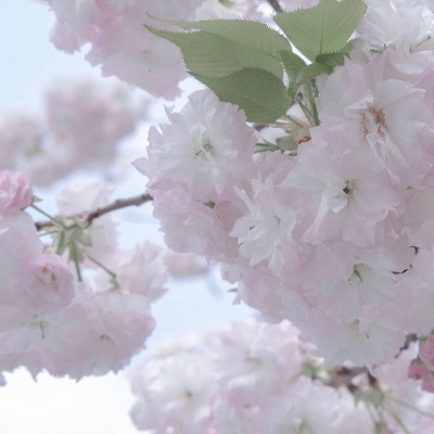 Furry绘画色彩技巧Furry群